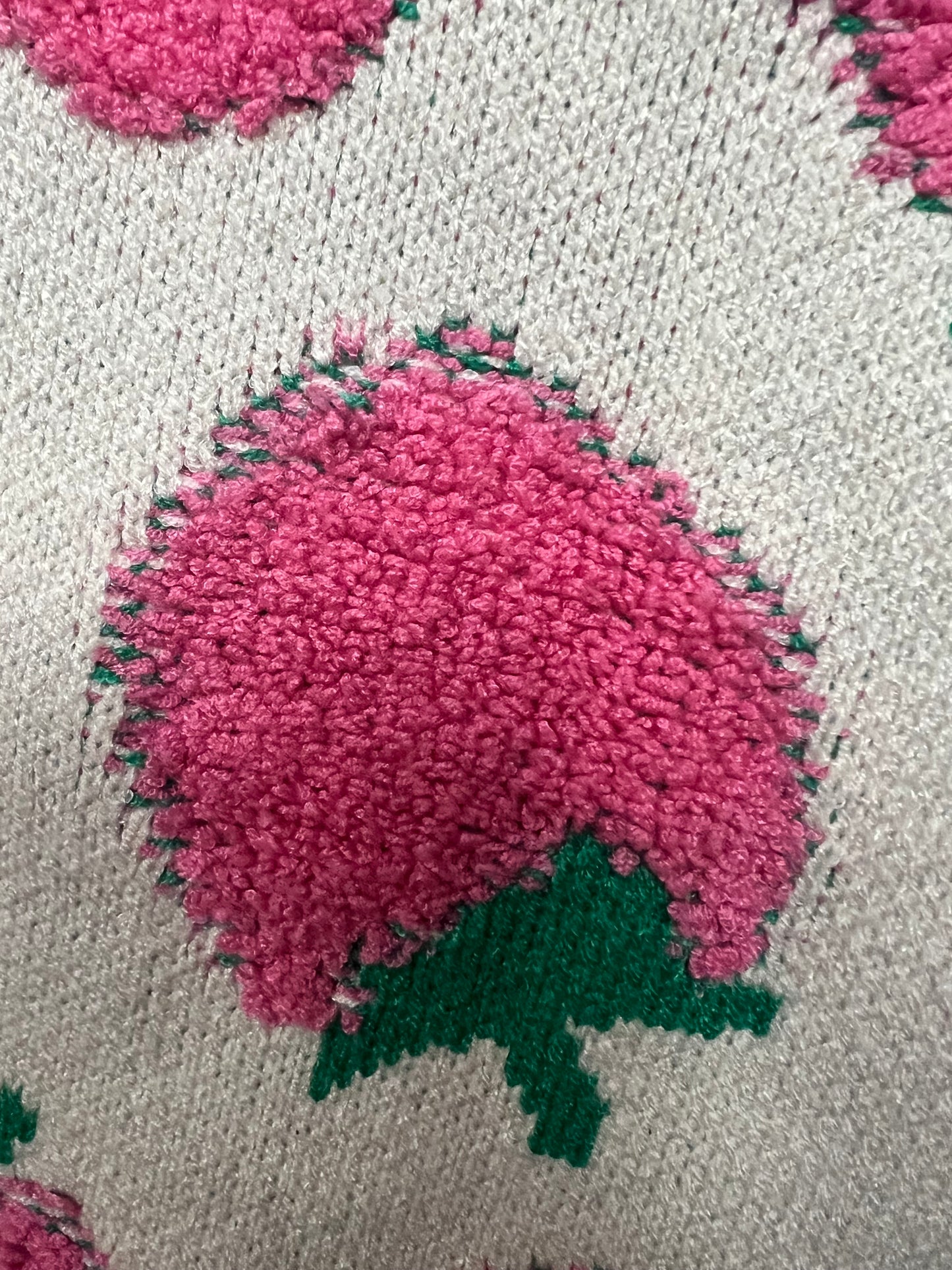 Strawberry Sweater Vest size s/m
