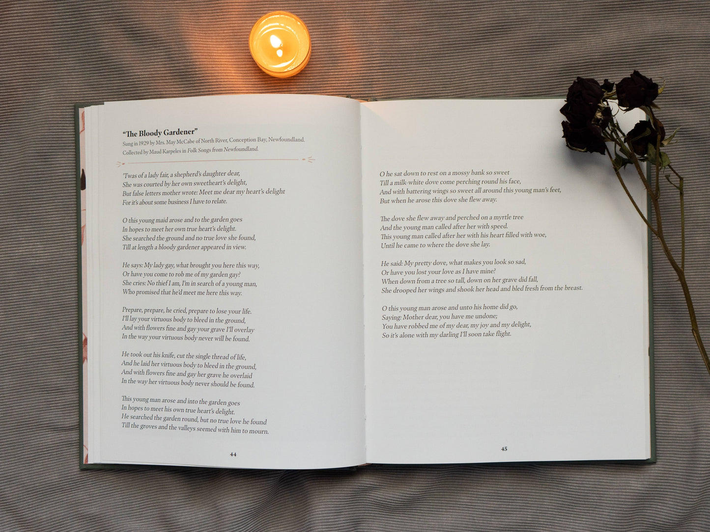 Murder Ballads by Katy Horan