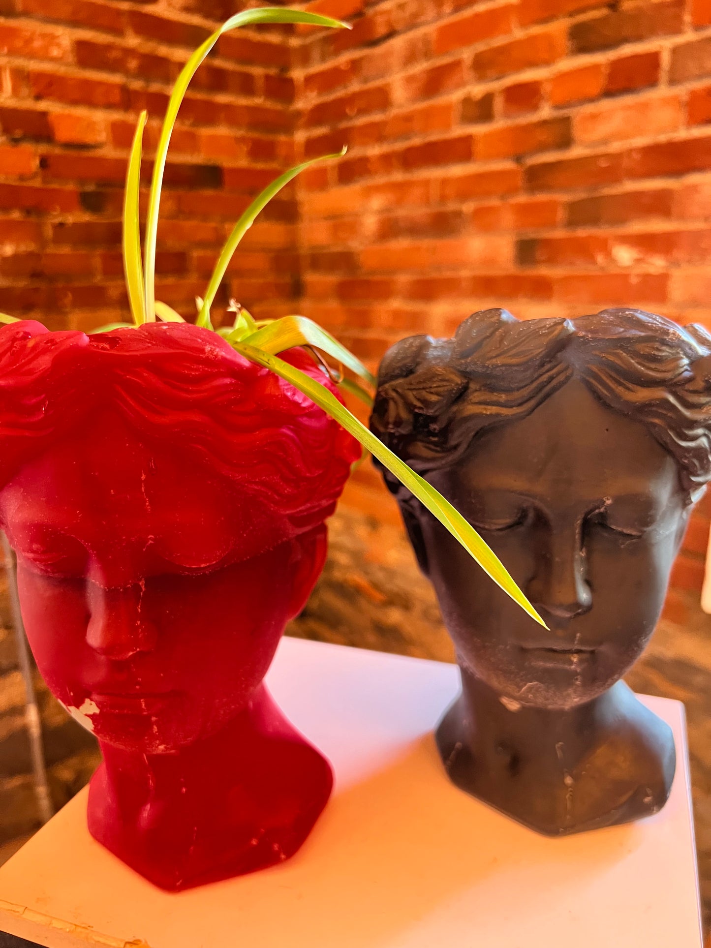 Lovely Lady Head Planters