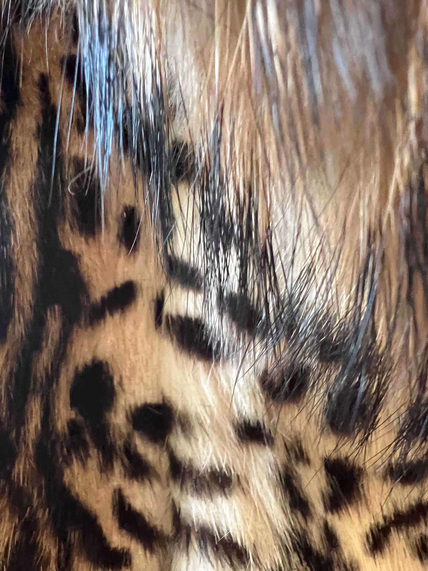 Adrienne Landau Leopard Print Rabbit/Raccoon Fur Coat - size L