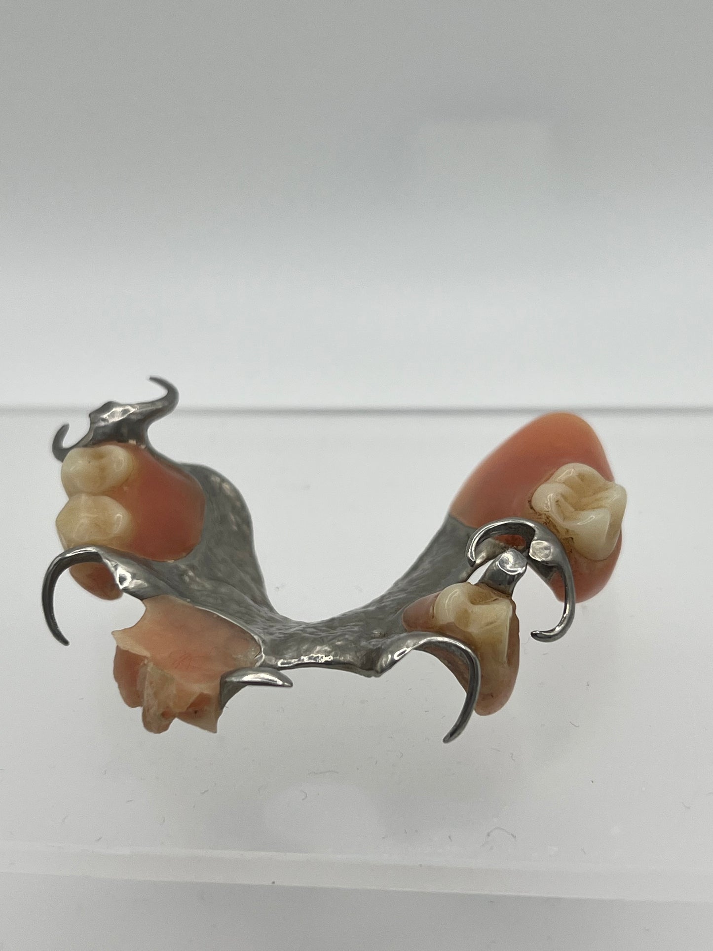 Vintage Partial Denture/False Teeth
