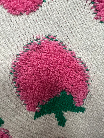 Strawberry Sweater Vest size s/m