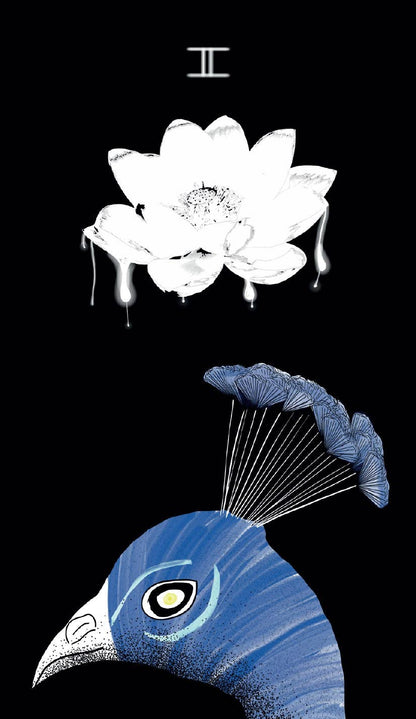 Sacred Web Tarot, The: Jannie Bui Brown