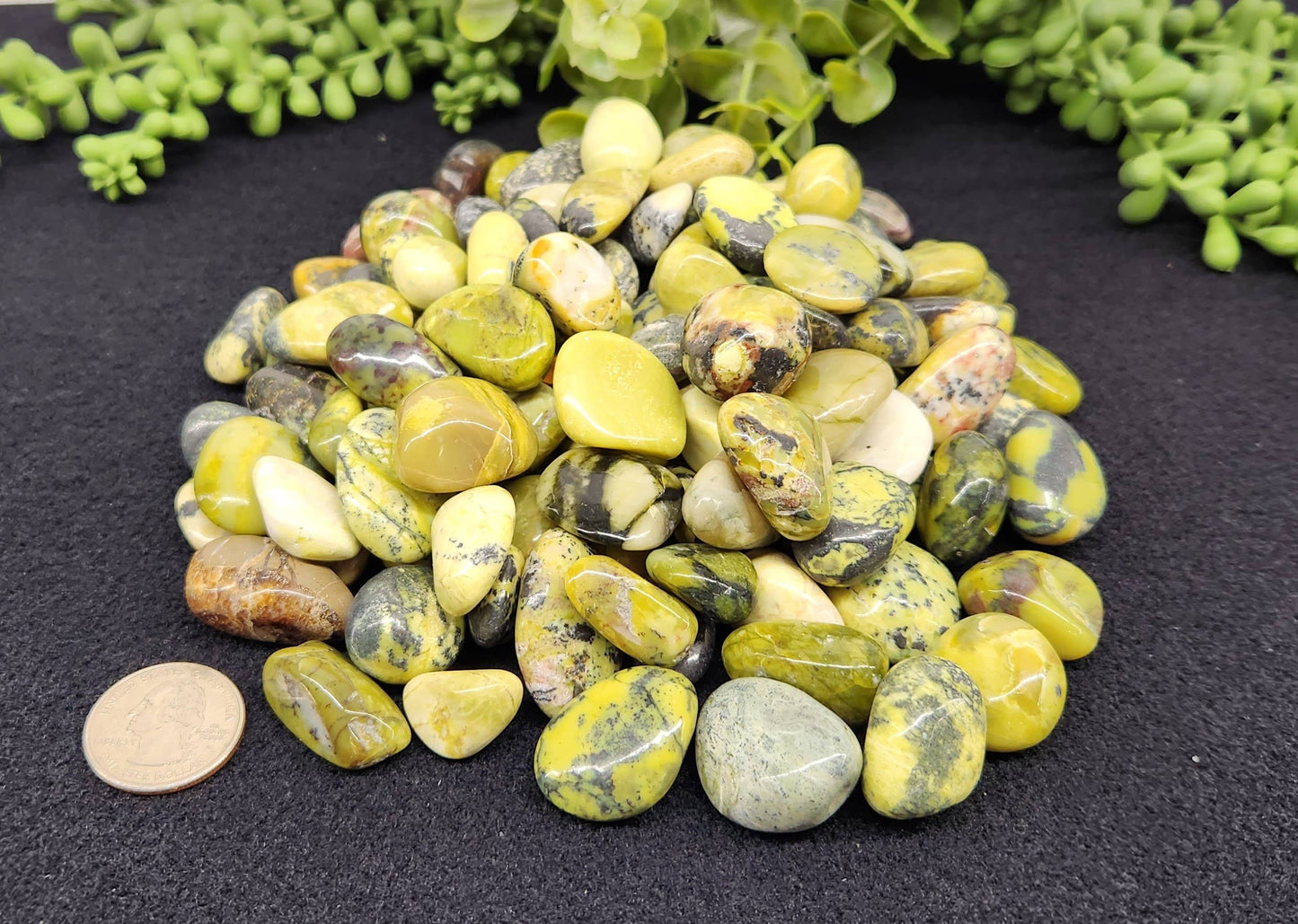 Serpentine Tumbled Stone for Transformation/Transition (+ Dirty Witch pouch)