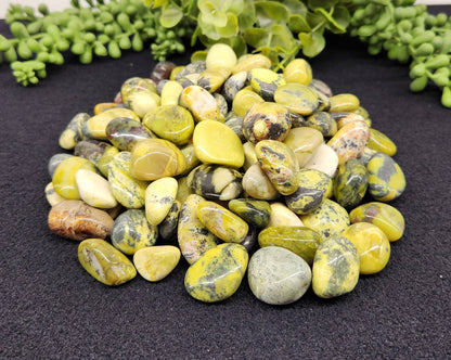Serpentine Tumbled Stone for Transformation/Transition (+ Dirty Witch pouch)