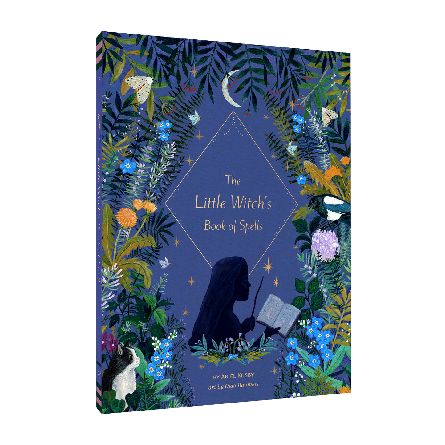 The Little Witch's Book of Spells