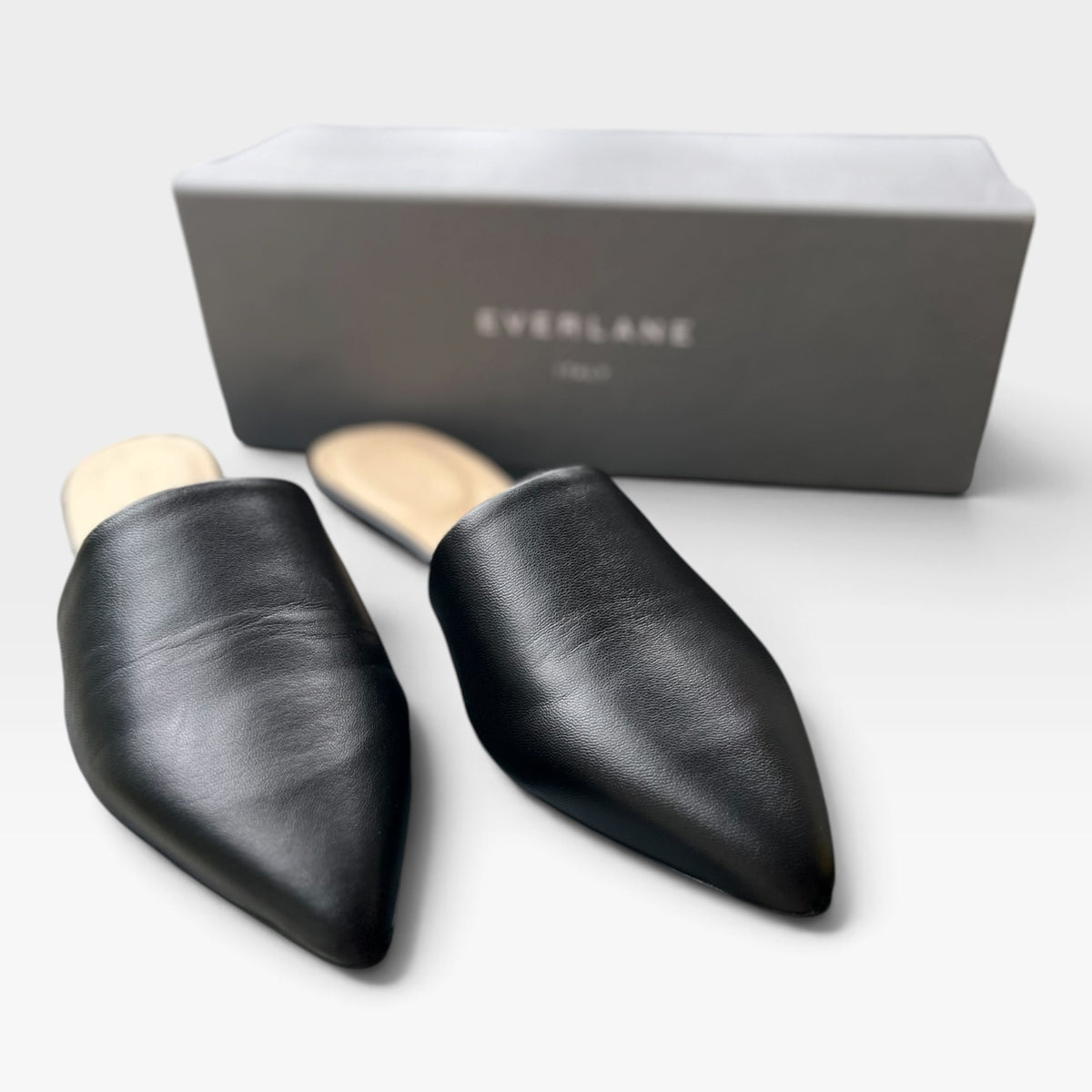NWT Everlane The Pointed Slide, Black Leather Mules, Slip-On Flats, Size 9