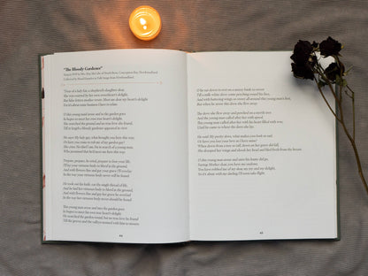 Murder Ballads by Katy  Horan