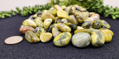 Serpentine Tumbled Stone for Transformation/Transition (+ Dirty Witch pouch)