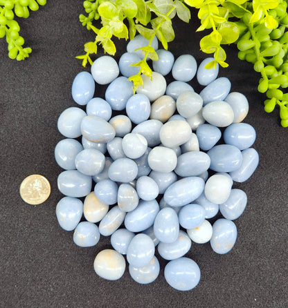 Angelite Tumbled Stone for Serenity/Connecting with Higher Realms (+ Dirty Witch pouch)