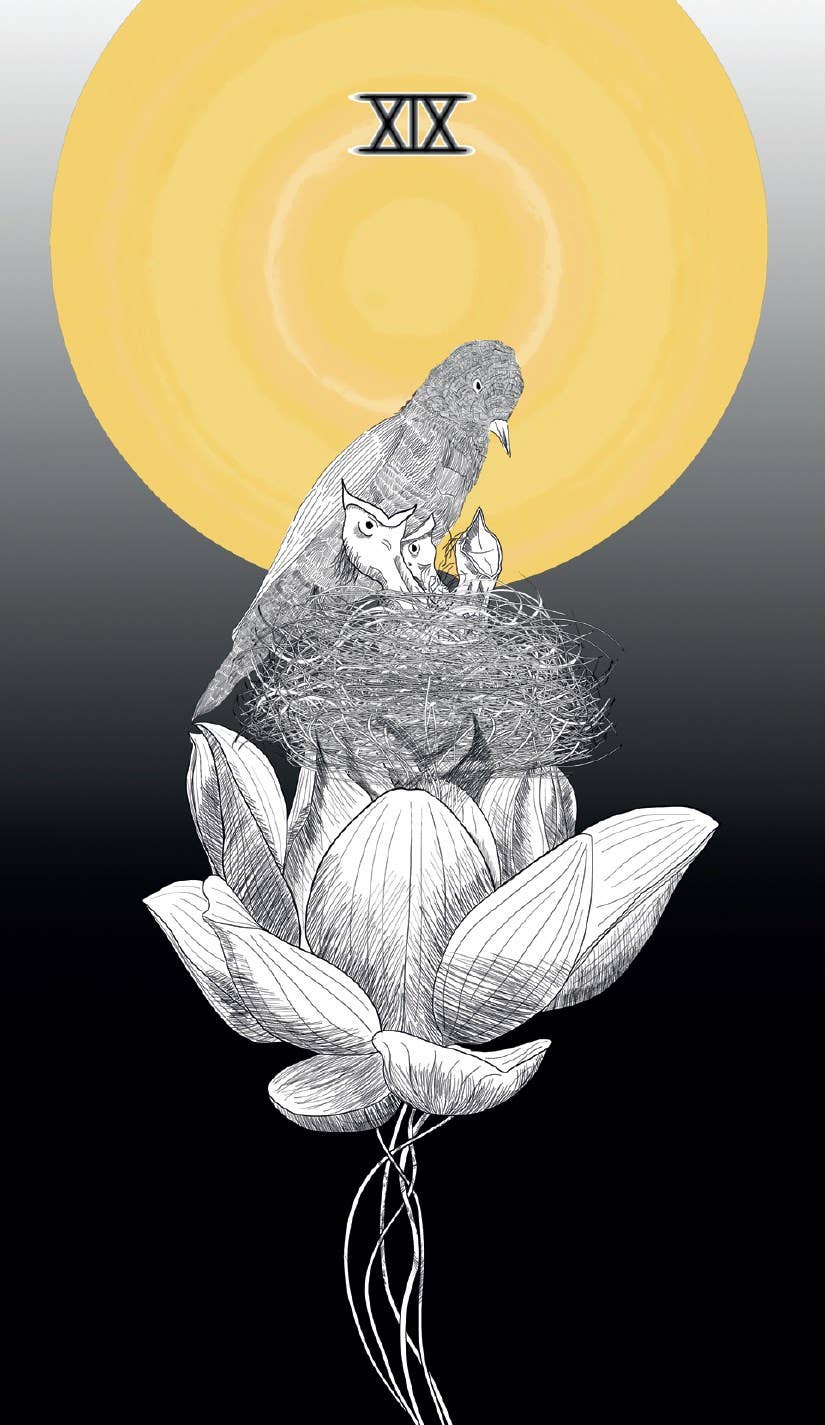 Sacred Web Tarot, The: Jannie Bui Brown