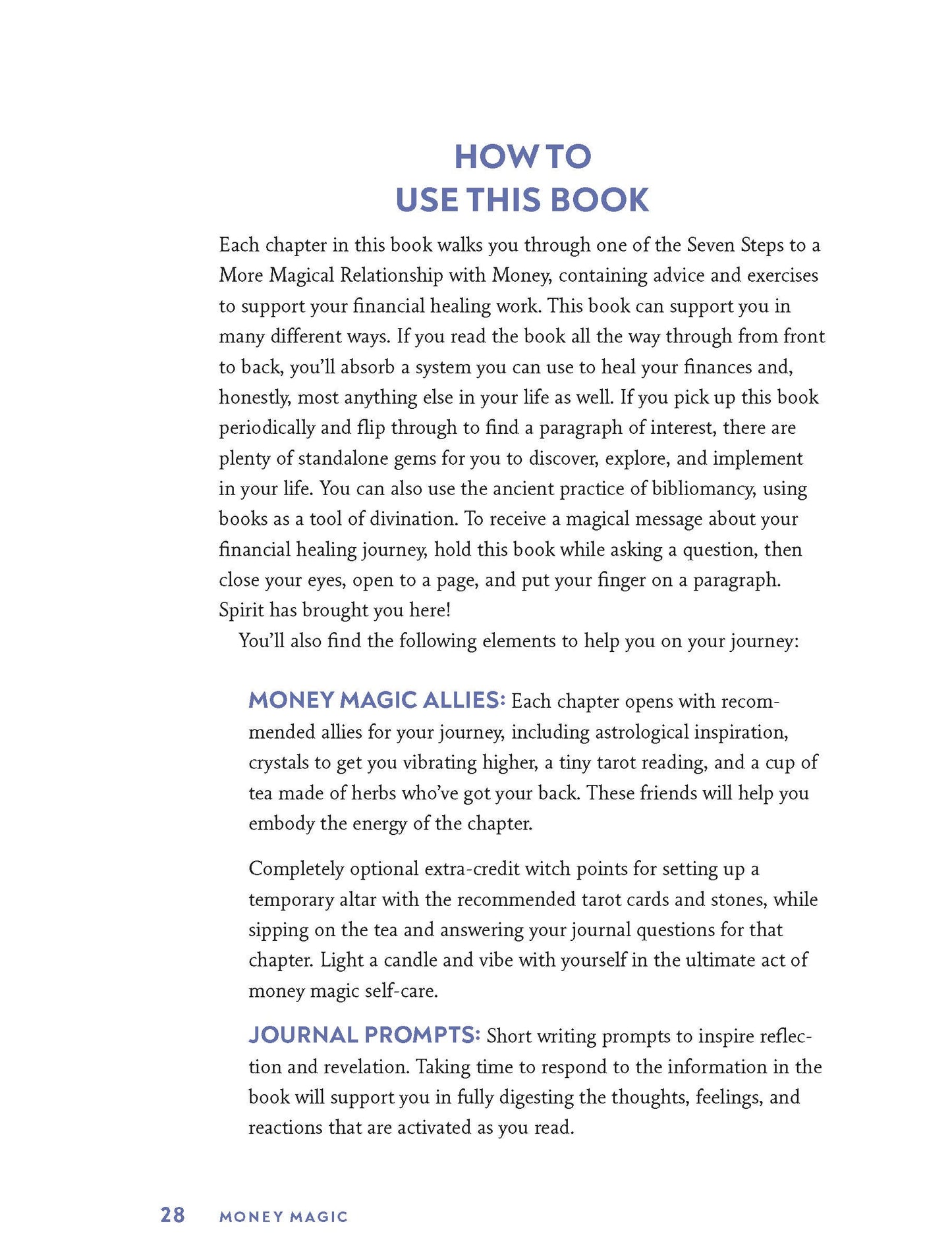 Brand New Money Magic Book by Jessie Susannah Karnatz - aka The Money Witch