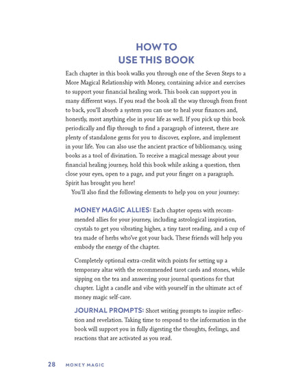 Brand New Money Magic Book by Jessie Susannah Karnatz - aka The Money Witch