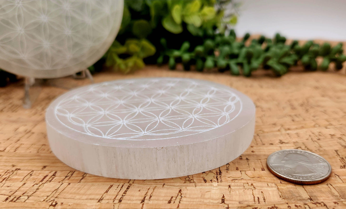 Selenite Crystal Charging Plate/Coaster Round - Flower of Life