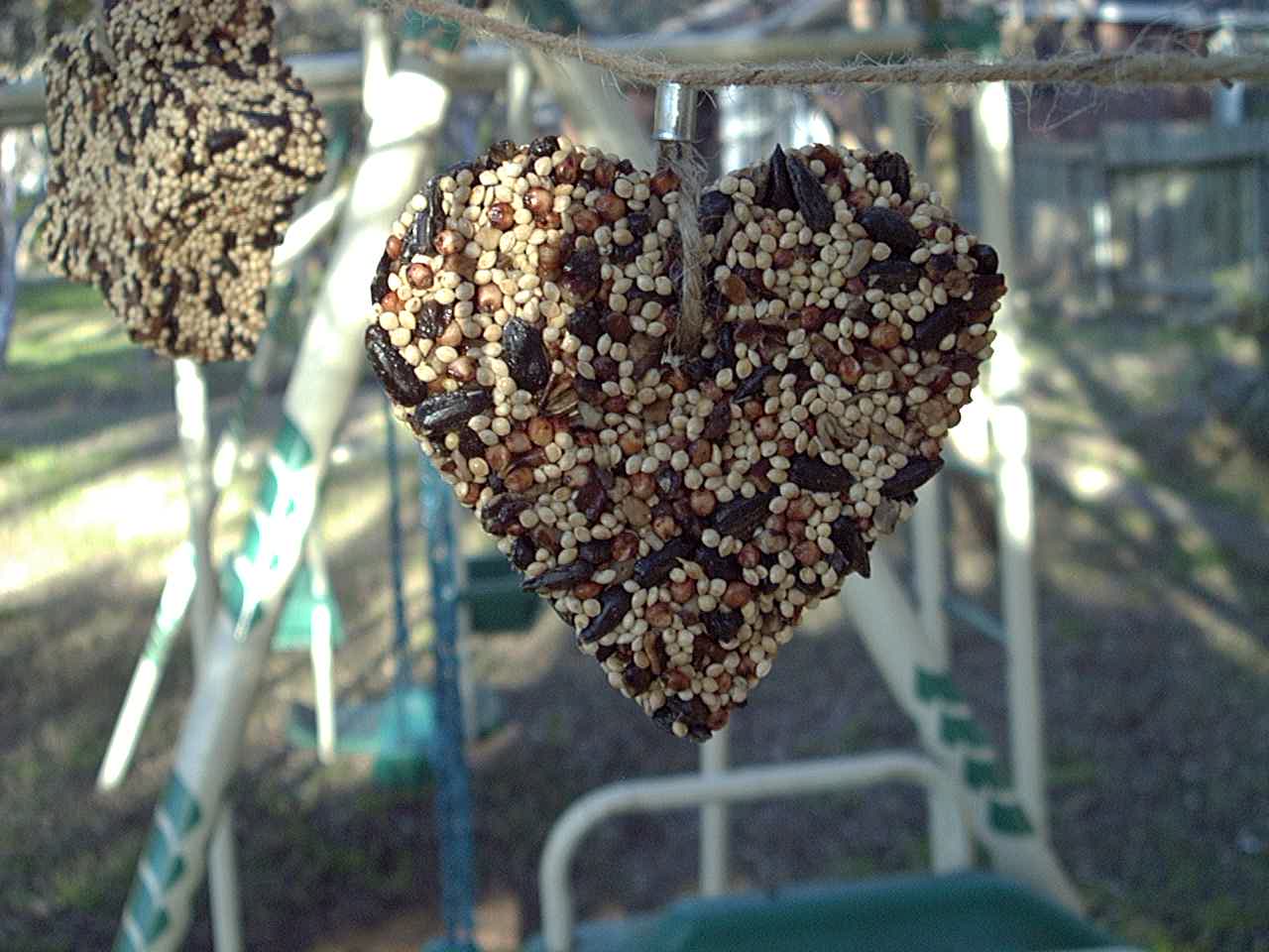 Valentine Birdseed Little Hearts for Bird Lovers 🐦❤️