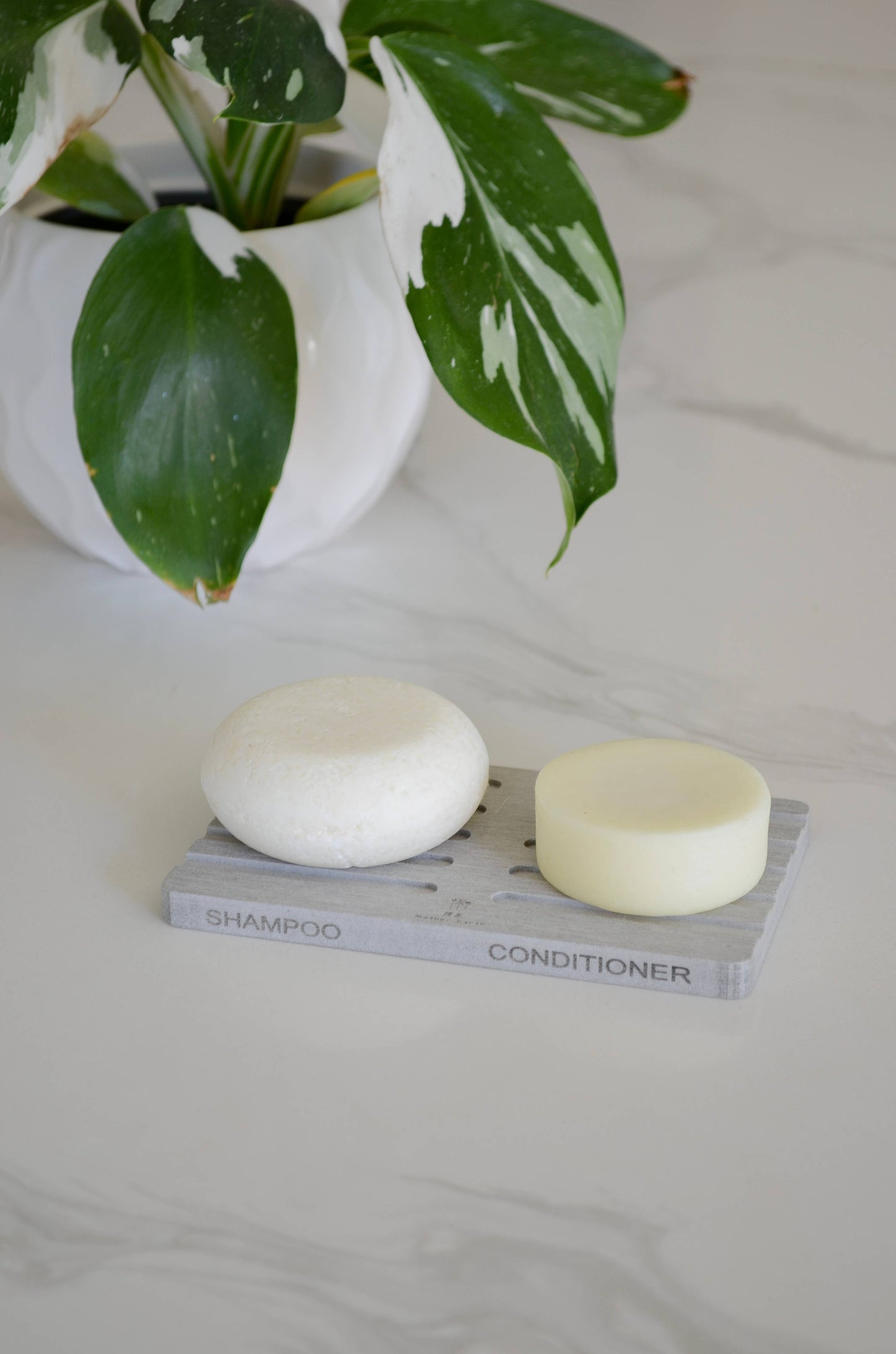Quick-Dry Diatomite Eco Labeled Bar Soap Dishes 2-Pack Zero Waste