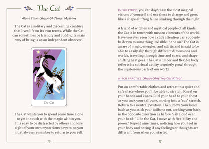 Little Witch's Oracle Deck