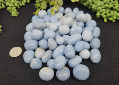 Angelite Tumbled Stone for Serenity/Connecting with Higher Realms (+ Dirty Witch pouch)