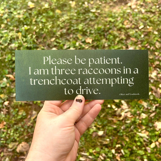 Car Vehicle Bumper Magnet / Dark Humor / I Am Three Raccoons…