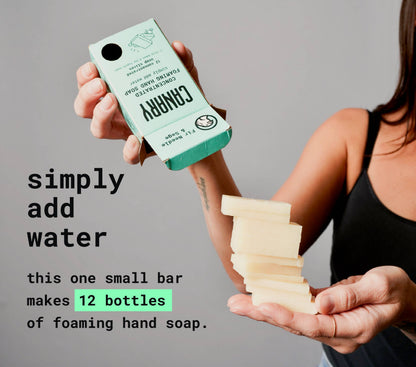 Hand Soap Starter Kit - Bottle & Soap