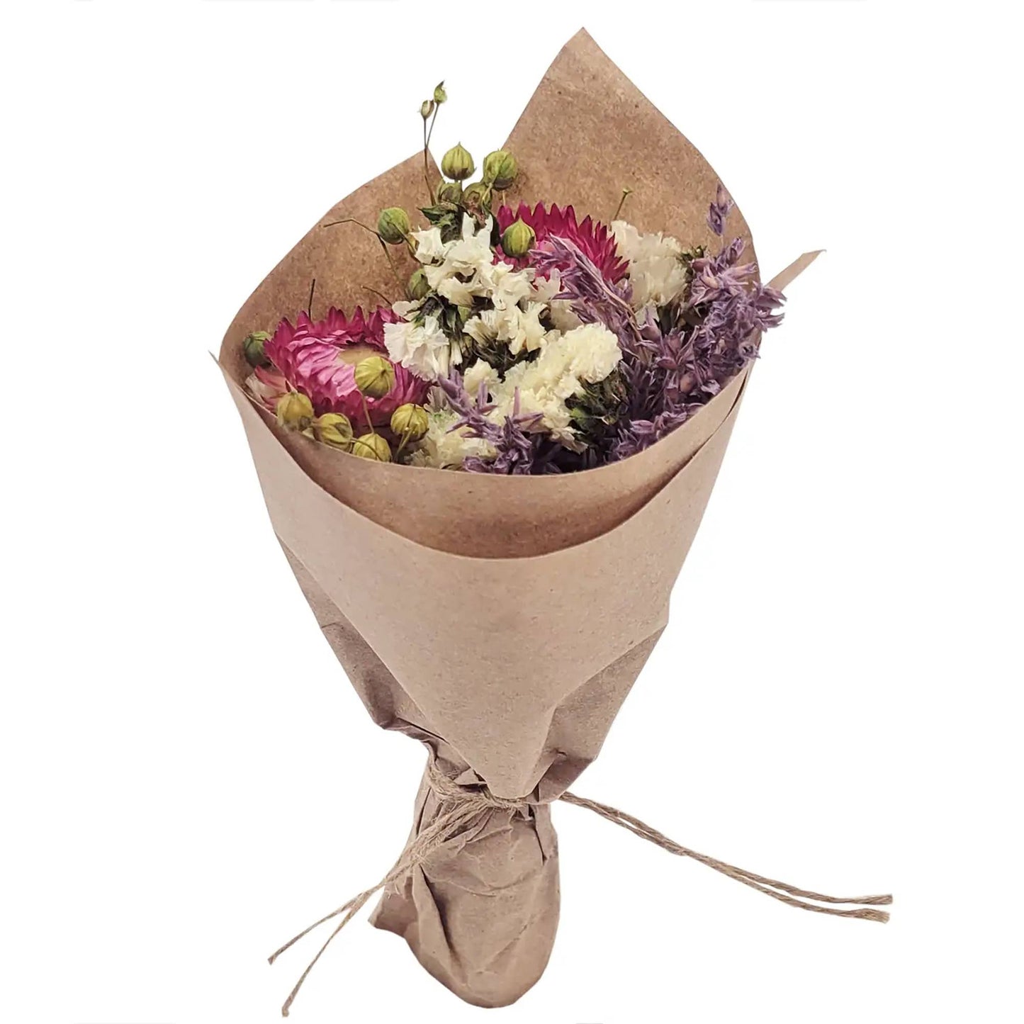 MINI Strawflower & Larkspur Bouquet Bundle #219