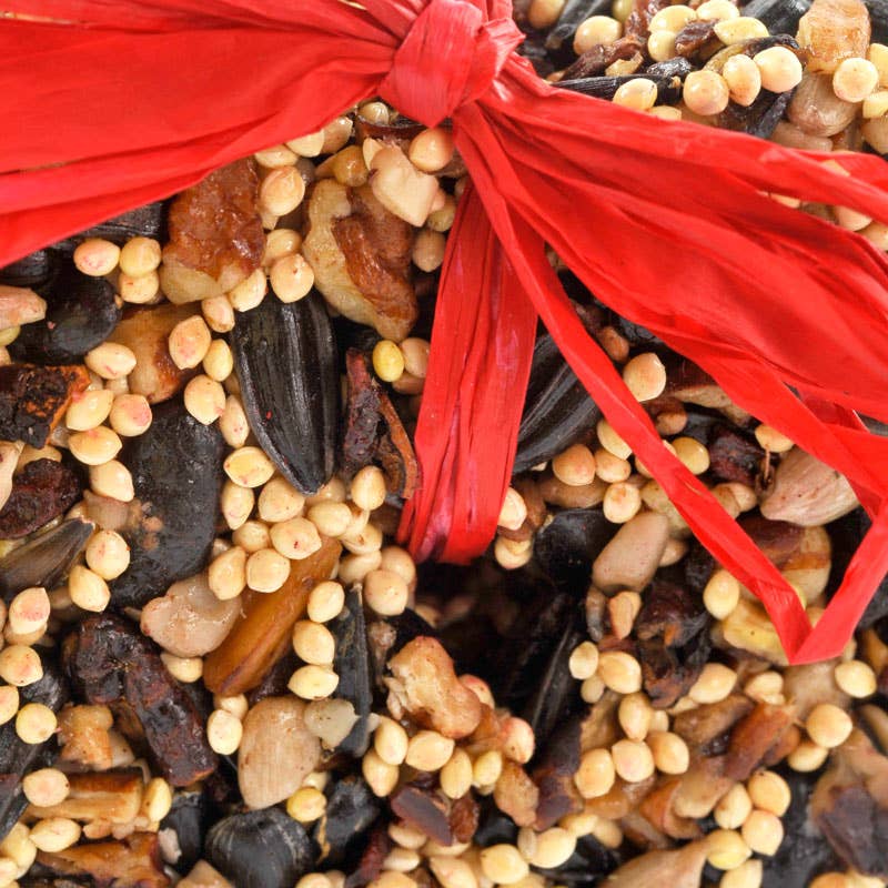 Valentine Birdseed Little Hearts for Bird Lovers 🐦❤️