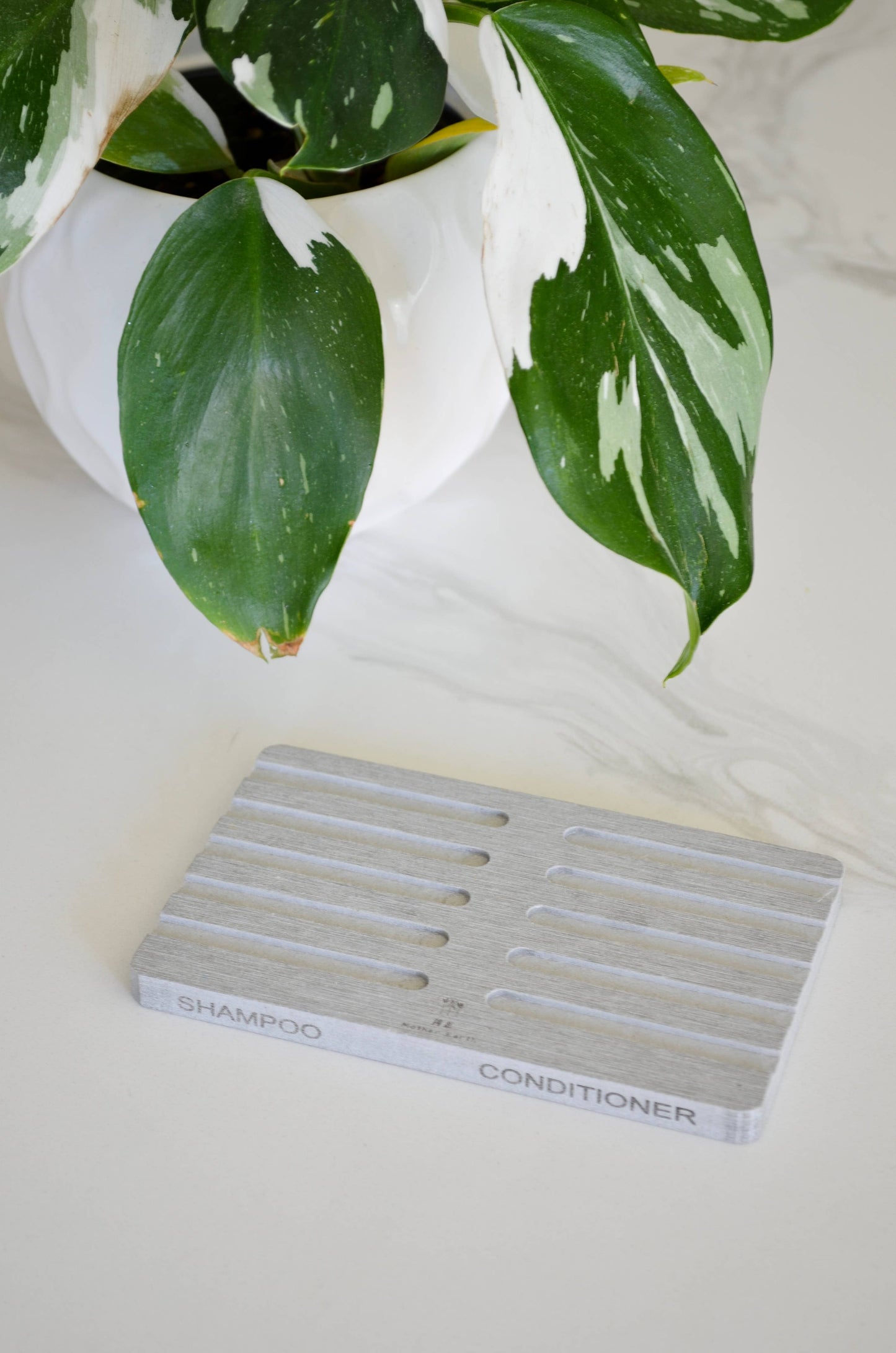 Quick-Dry Diatomite Eco Labeled Bar Soap Dishes 2-Pack Zero Waste