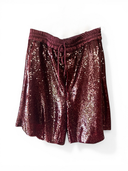 Zara Sequined Basketball Shorts, size XL (or L)