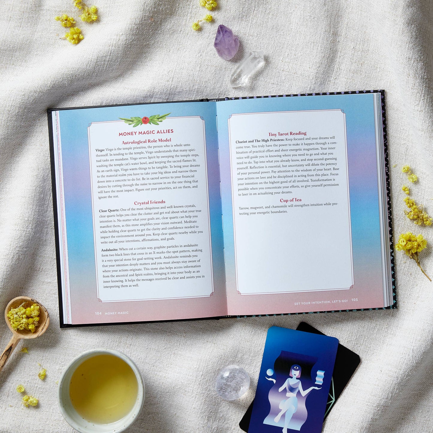 Brand New Money Magic Book by Jessie Susannah Karnatz - aka The Money Witch