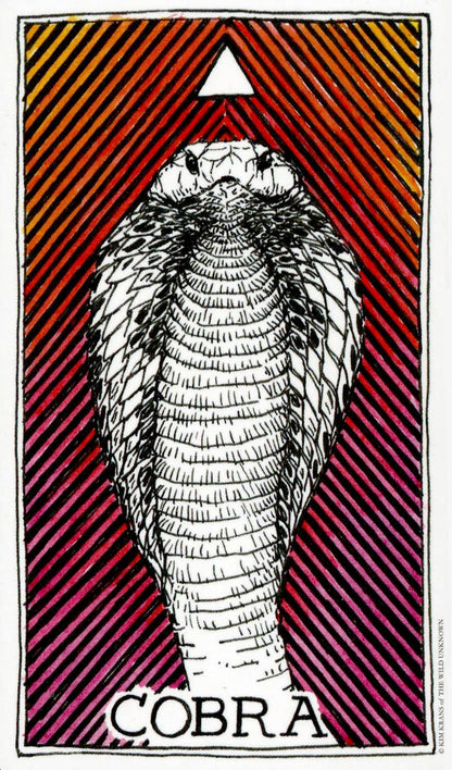 Wild Unknown Animal Spirit Deck and Guidebook