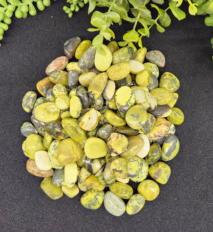 Serpentine Tumbled Stone for Transformation/Transition (+ Dirty Witch pouch)