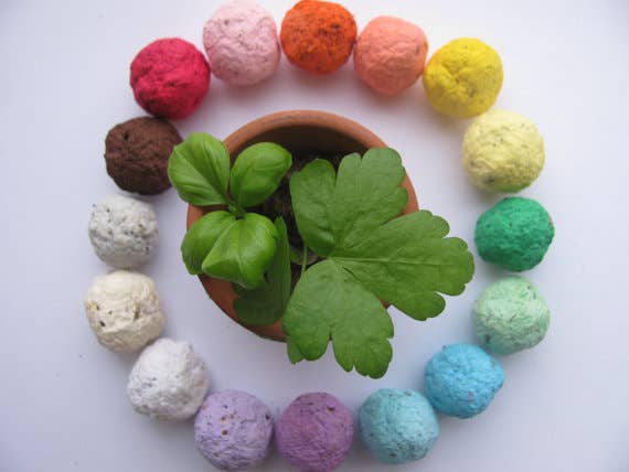 Wildflower Seed Balls