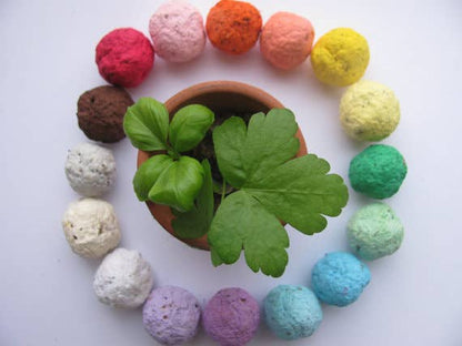 Wildflower Seed Balls