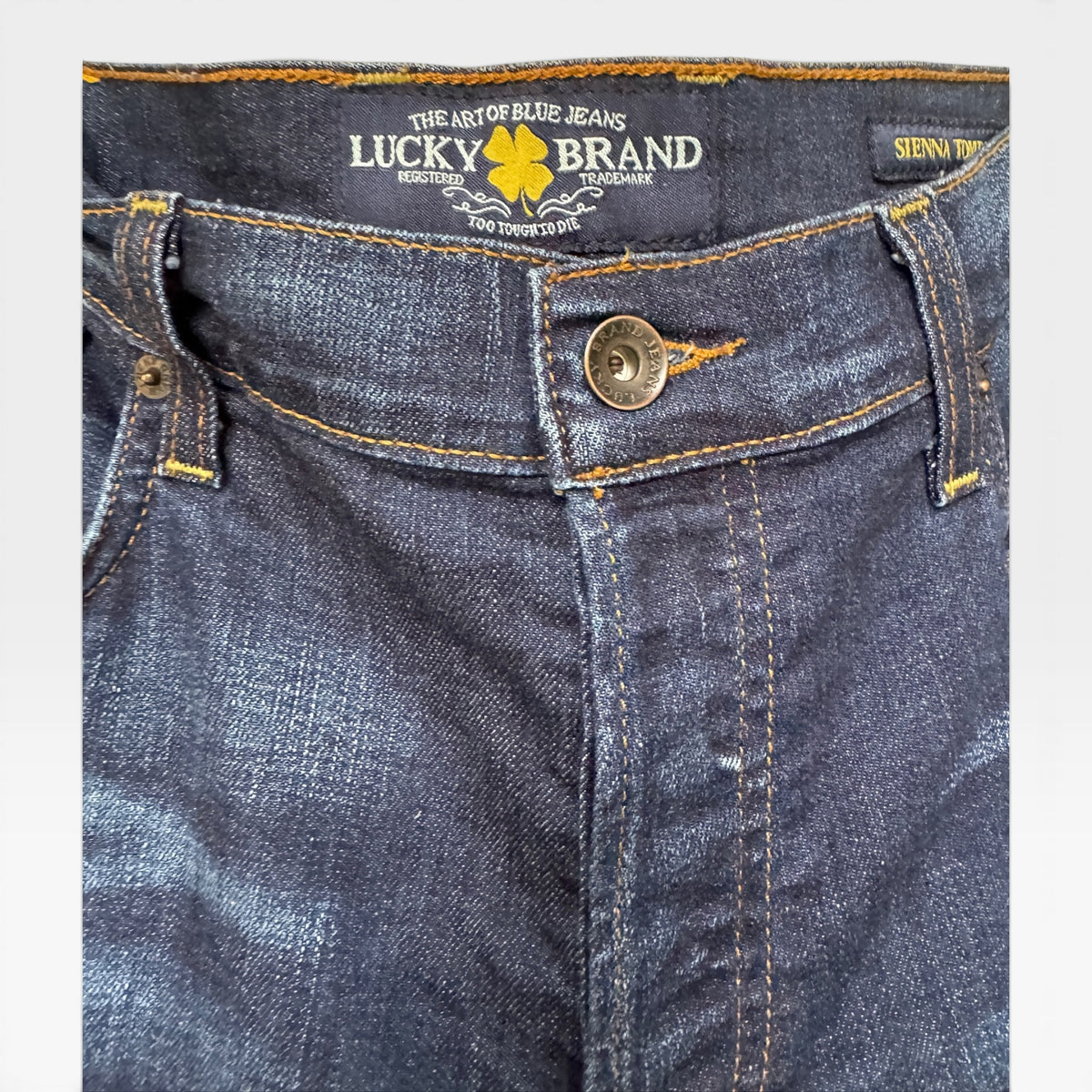Lucky Brand Blue Jeans, Sienna Tomboy, Size 16 / 33
