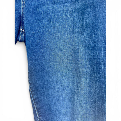 Gap Classic Straight Jeans, size 18/34