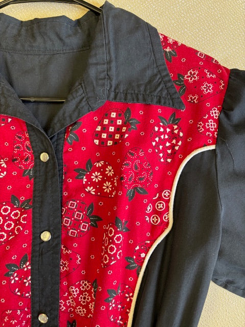 Incredible Strawberry Print Western Dress