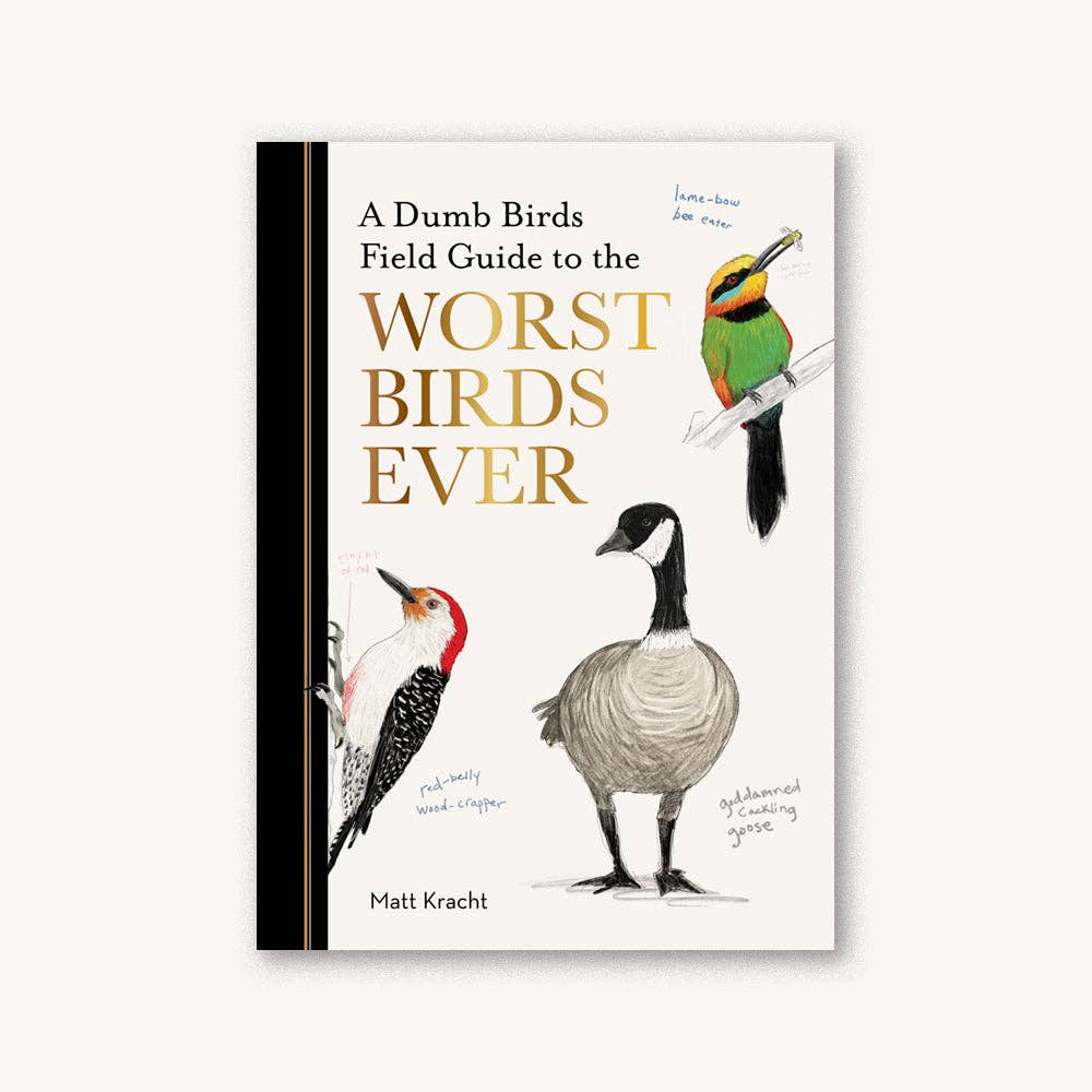 For The Birds Bundle - Perfect Gift for Bird Lovers & Backyard Birders