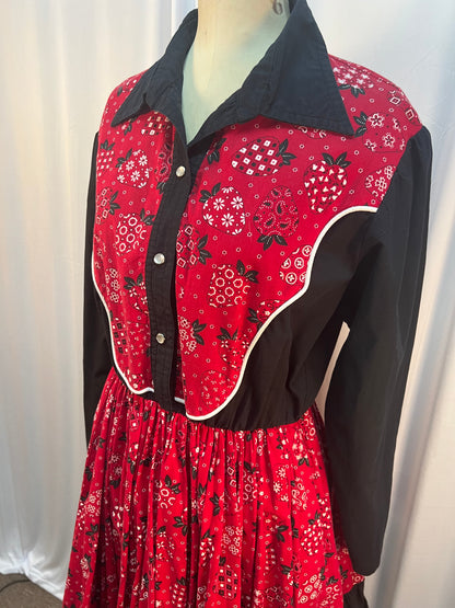 Incredible Strawberry Print Western Dress