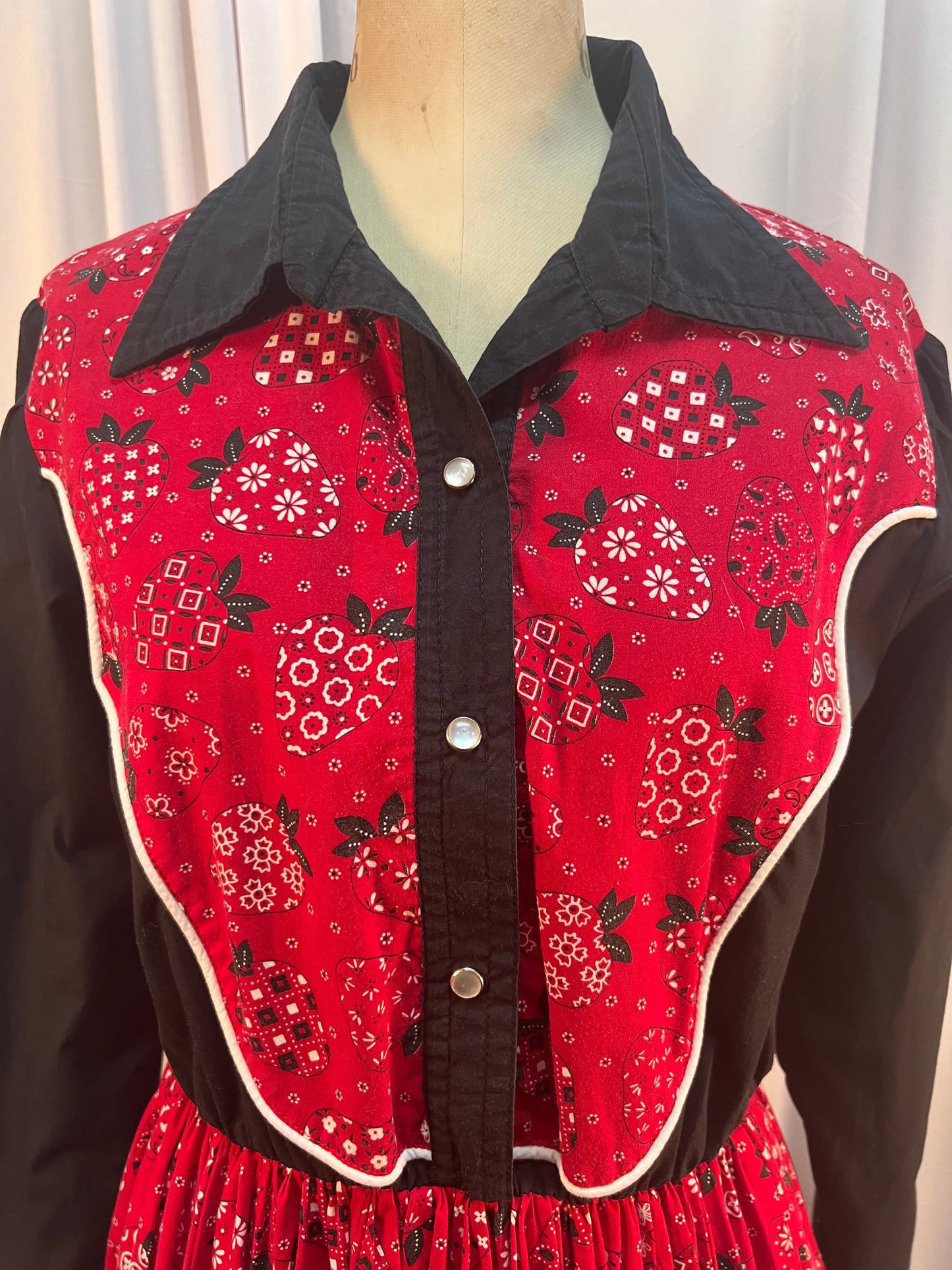 Incredible Strawberry Print Western Dress