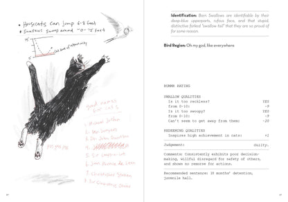 Dumb Birds Field Guide to the Worst Birds Ever