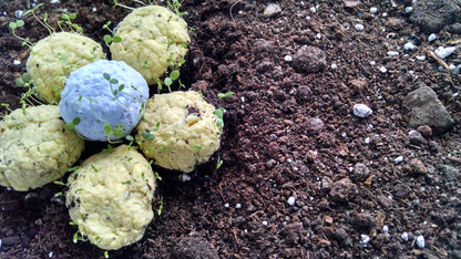 Wildflower Seed Balls