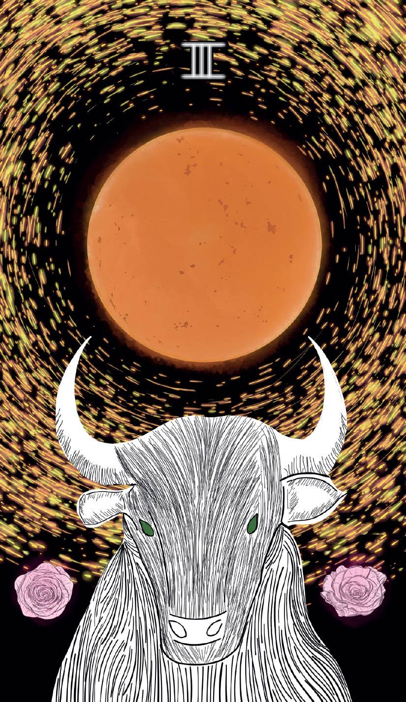 Sacred Web Tarot, The: Jannie Bui Brown