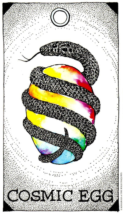 Wild Unknown Animal Spirit Deck and Guidebook