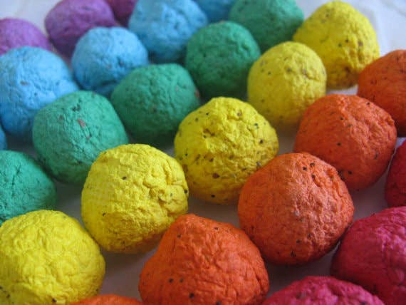 Wildflower Seed Balls