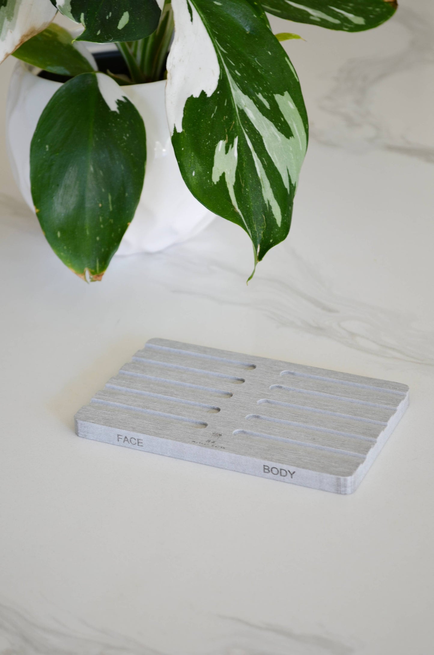 Quick-Dry Diatomite Eco Labeled Bar Soap Dishes 2-Pack Zero Waste