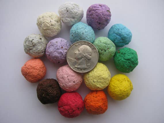 Wildflower Seed Balls