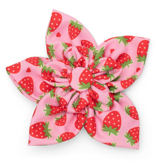 Dog Collar Flower Bow |Strawberries Print | Dog Collar Accessory